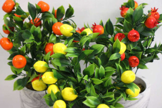 Beton Saksıda Mini Mandalina Limon ve Nar Ağacı 3lü Set - 4