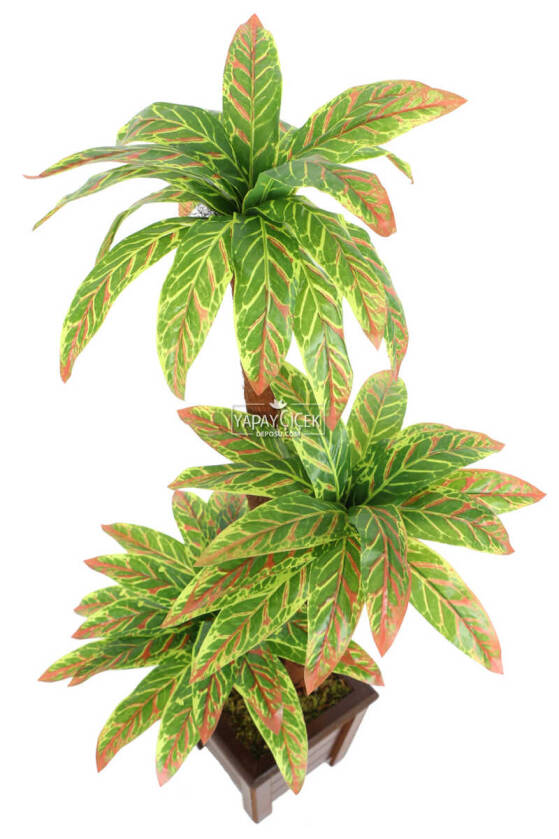 Bodur Yapay Ağaç Cordyline 105 cm Model 4 - 3