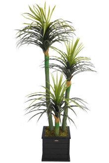 Büyük Saksıda Yapay Ağaç Yuka Yucca 180 cm - 2