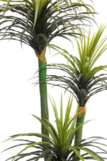 Büyük Saksıda Yapay Ağaç Yuka Yucca 180 cm - 3
