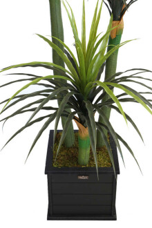Büyük Saksıda Yapay Ağaç Yuka Yucca 180 cm - 4