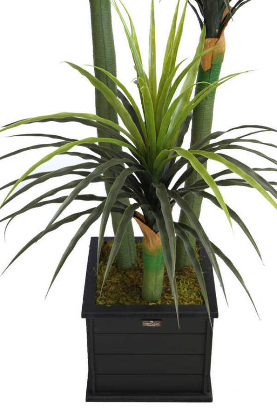 Büyük Saksıda Yapay Ağaç Yuka Yucca 180 cm - 4