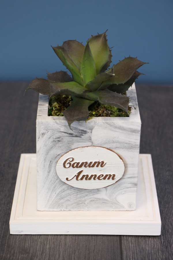 Canım Annem Beton Saksıda Succulent - 1