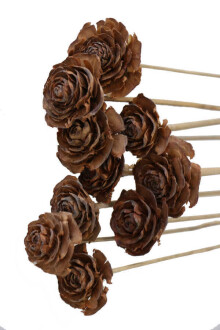 Cedar Rose 10lu Demet 45 cm Naturel - 2
