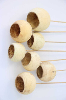 Dekoratif Bell Cup 7li Doğal Kabak - 2