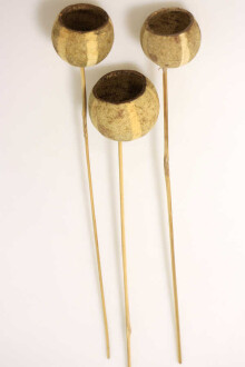 Dekoratif Bell Cup Çizgili Doğal Pumkin Kabak 3lü - 2