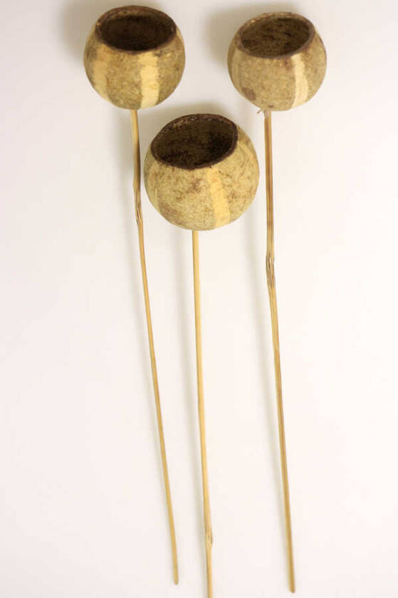 Dekoratif Bell Cup Çizgili Doğal Pumkin Kabak 3lü - 2