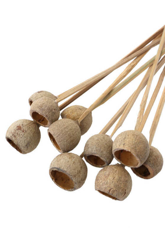 Dekoratif Küçük Bell Cup 10lu Tropic Kabak Gauri Cup Naturel - 2