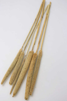 Doğal Kadife Dokulu Sosis Püskül 60 cm 6 Adet - Yapay Çiçek Sitesi