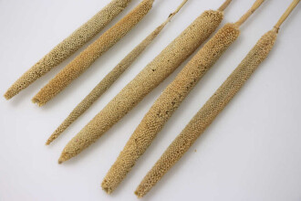 Doğal Kadife Dokulu Sosis Püskül 60 cm 6 Adet - 2