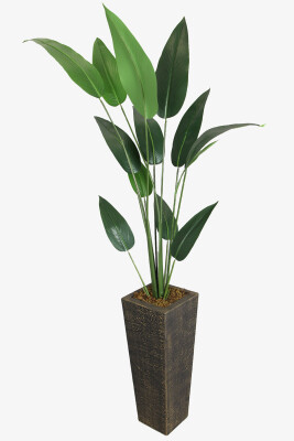 Eskitme Gold Saksıda Yapay 13 Yapraklı Starliçe Ağacı 190 cm - Yapay Çiçek Sitesi