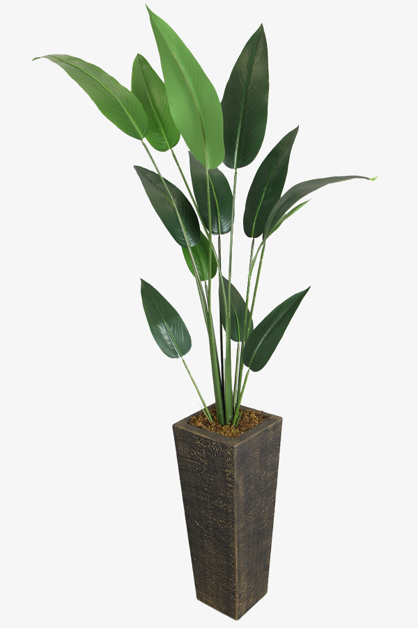 Eskitme Gold Saksıda Yapay 13 Yapraklı Starliçe Ağacı 190 cm - 1