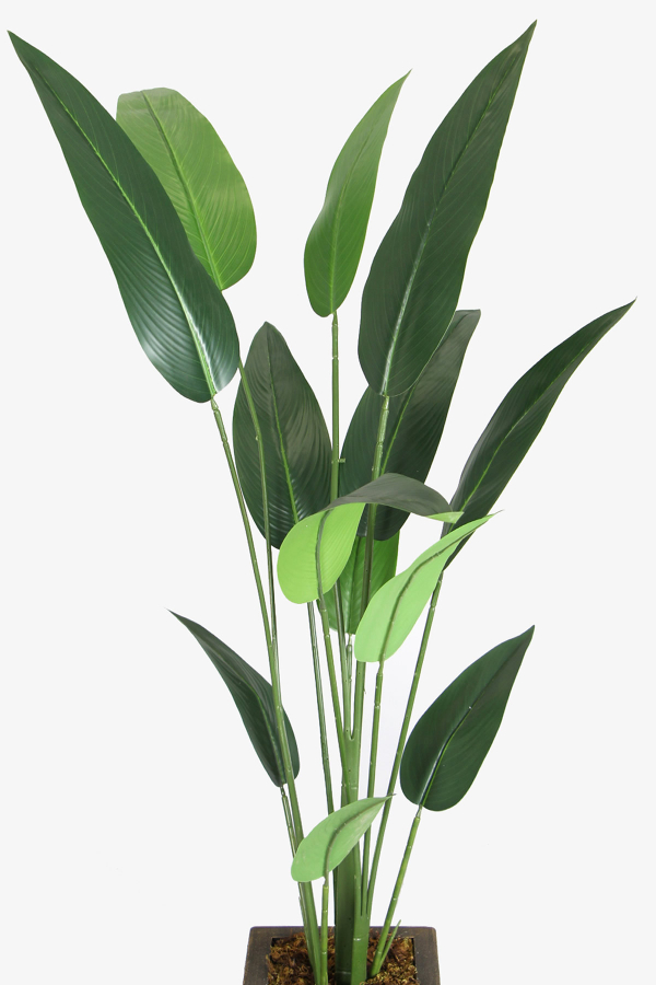 Eskitme Gold Saksıda Yapay 13 Yapraklı Starliçe Ağacı 190 cm - 2