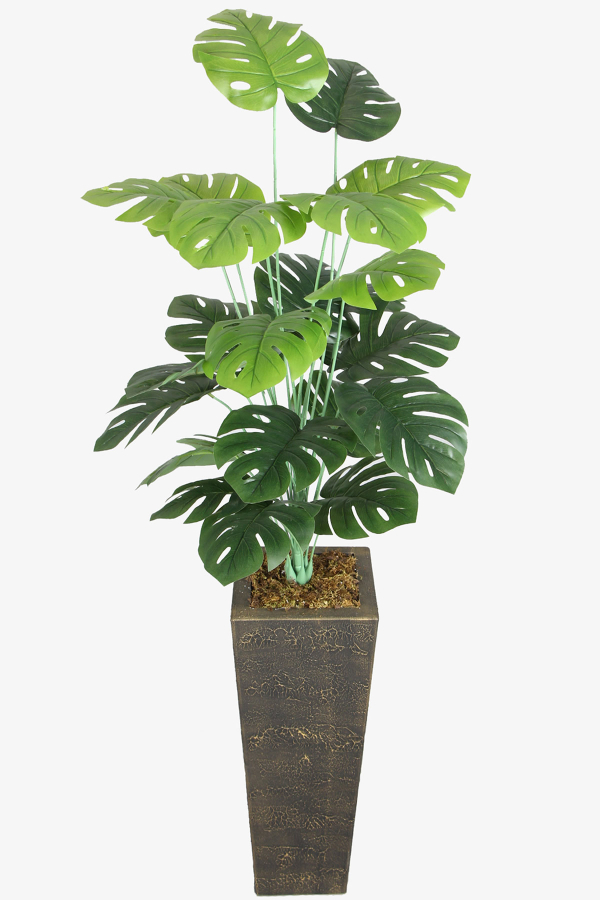 Eskitme Gold Saksıda Yapay 24 Dallı Deve Tabanı Ağacı 150-160 cm - 1