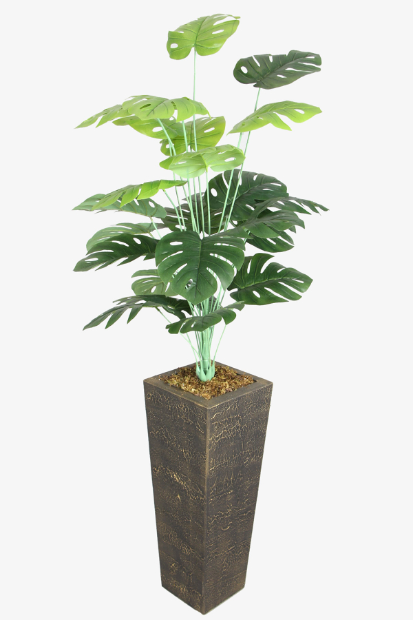 Eskitme Gold Saksıda Yapay 24 Dallı Deve Tabanı Ağacı 150-160 cm - 2