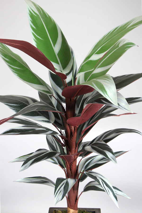 Eskitme Gold Saksıda Yapay Starliçe Stromanthe Dua Çiçeği 180 cm Kızıl - 2