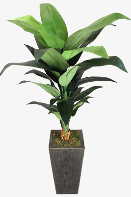 Eskitme Gold Saksıda Yapay Starliçe Stromanthe Dua Çiçeği 180 cm Yeşil - Yapay Çiçek Sitesi