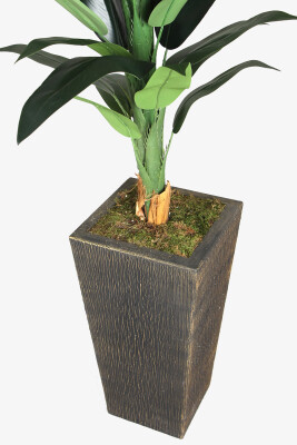 Eskitme Gold Saksıda Yapay Starliçe Stromanthe Dua Çiçeği 180 cm Yeşil - 2