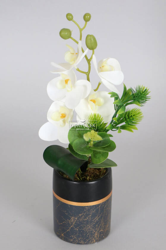Exclusive Saksıda 5 Kandilli Mini Yapay Islak Orkide Tanzimi 30 cm - 1
