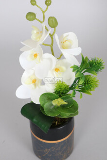 Exclusive Saksıda 5 Kandilli Mini Yapay Islak Orkide Tanzimi 30 cm - 3