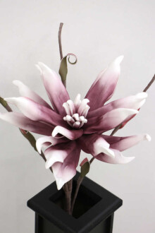 Exclusive Tropik İri Çiçekli Egzotik Manolya Uzun Dal 75 cm Mürdüm-Beyaz - 2