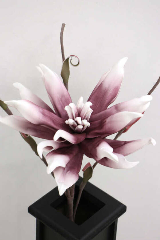 Exclusive Tropik İri Çiçekli Egzotik Manolya Uzun Dal 75 cm Mürdüm-Beyaz - 2