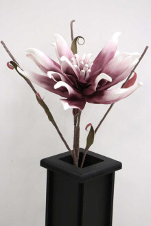 Exclusive Tropik İri Çiçekli Egzotik Manolya Uzun Dal 75 cm Mürdüm-Beyaz - 3