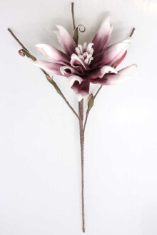 Exclusive Tropik İri Çiçekli Egzotik Manolya Uzun Dal 75 cm Mürdüm-Beyaz - 4