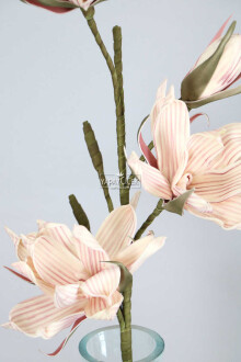 Exclusive Tropikal İri Çiçekli Gonca Güllü Uzun Dal 80 cm Ekru - 2