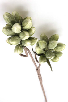 Exclusive Yapay Çiçek Ara Dal Lateks Enginar 100 cm Yeşil - 4