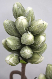 Exclusive Yapay Çiçek Ara Dal Lateks Enginar 100 cm Yeşil - 5