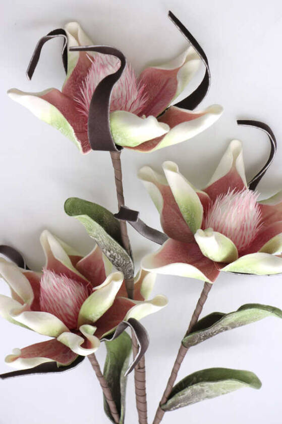 Exclusive Yapay Sarhoş Yapraklı Lateks Manolya Dalı 100 cm Pembe - 2