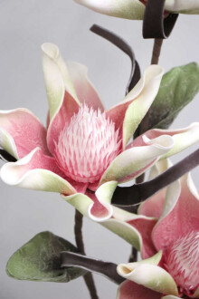 Exclusive Yapay Sarhoş Yapraklı Lateks Manolya Dalı 100 cm Pembe - 4