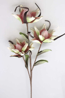 Exclusive Yapay Sarhoş Yapraklı Lateks Manolya Dalı 100 cm Pembe - 5