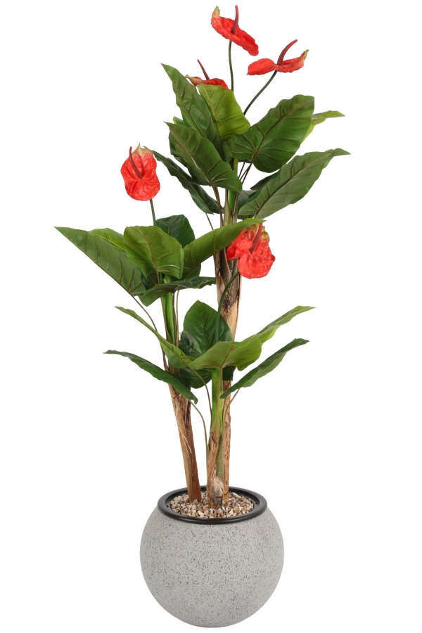 Gri Fiber Saksıda Yapay Antoryum Ağacı 170 cm (Anthurium) - 1