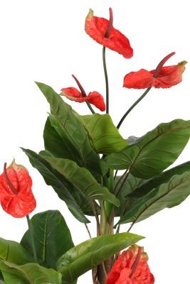 Gri Fiber Saksıda Yapay Antoryum Ağacı 170 cm (Anthurium) - 2