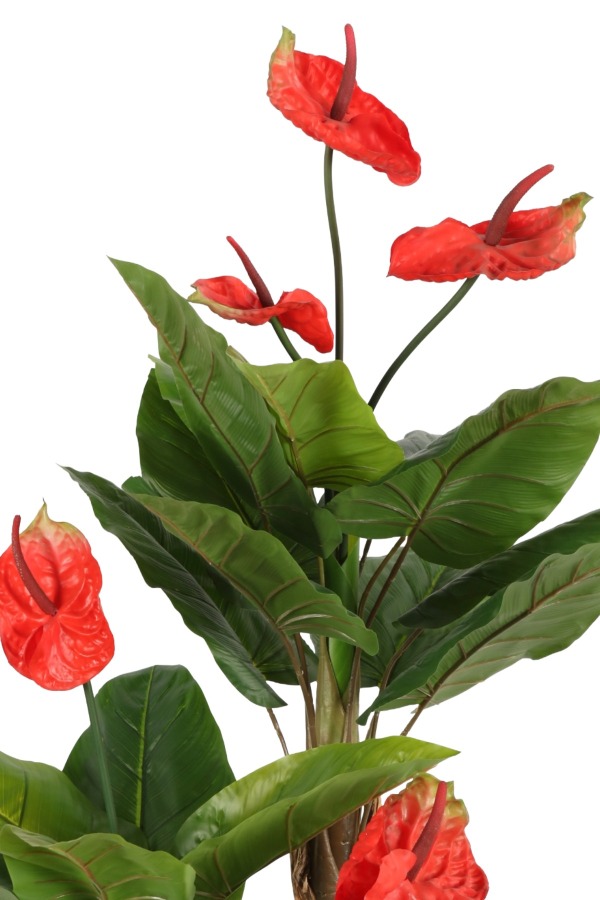 Gri Fiber Saksıda Yapay Antoryum Ağacı 170 cm (Anthurium) - 2