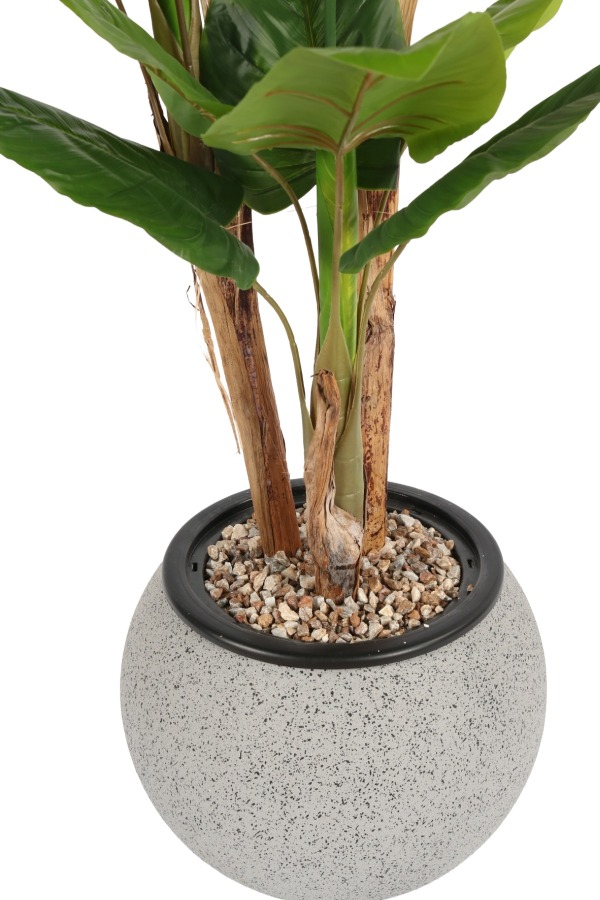 Gri Fiber Saksıda Yapay Antoryum Ağacı 170 cm (Anthurium) - 3