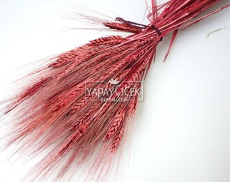 Kuru Başak Demeti Bordo - 2
