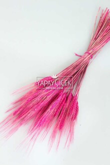 Kuru Başak Demeti Fuşya - 2