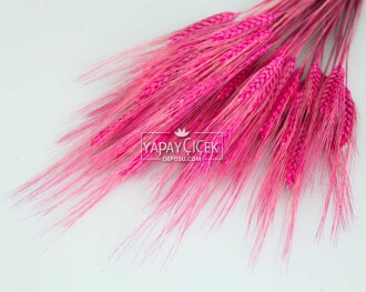 Kuru Başak Demeti Fuşya - 3