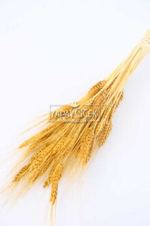 Kuru Başak Demeti Hardal Sarı - Yapay Çiçek Sitesi