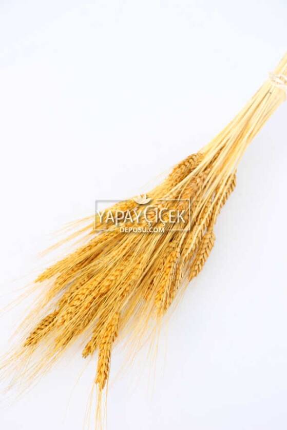 Kuru Başak Demeti Hardal Sarı - 1