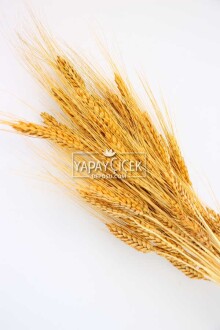 Kuru Başak Demeti Hardal Sarı - 2