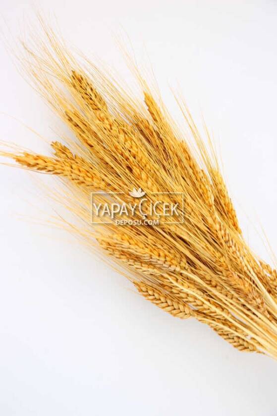 Kuru Başak Demeti Hardal Sarı - 2