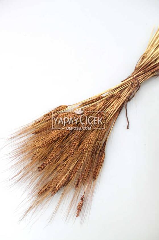 Kuru Başak Demeti Kahverengi - 1