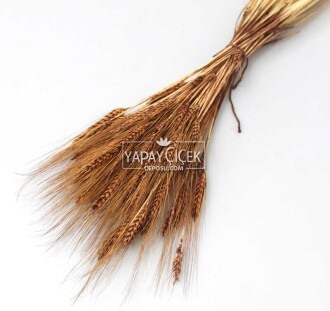 Kuru Başak Demeti Kahverengi - 2