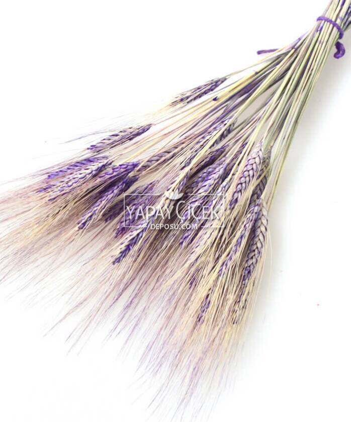 Kuru Başak Demeti Koyu Mor - 2