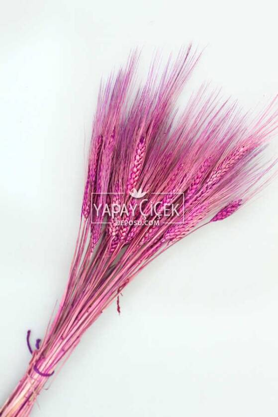 Kuru Başak Demeti Mor - 1