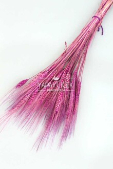 Kuru Başak Demeti Mor - 2